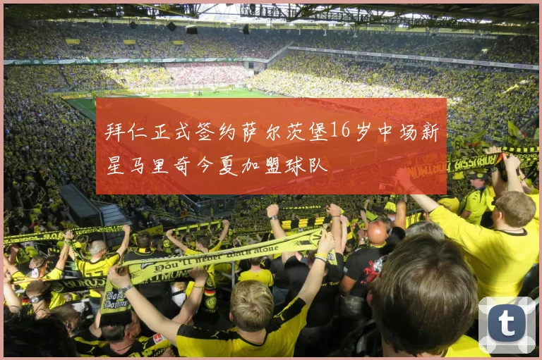拜仁正式签约萨尔茨堡16岁中场新星马里奇今夏加盟球队