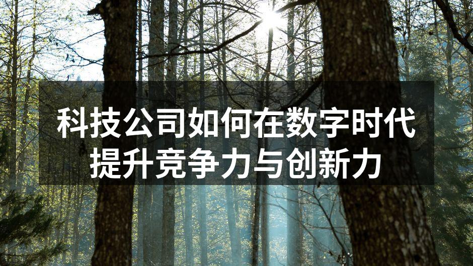 科技公司正在进行数字化转型